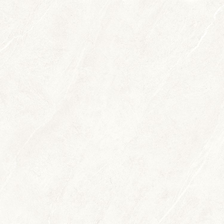 Dhara White Matte 48 x 48